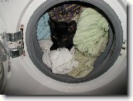 obliben� miste�ko