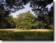 l�zn� B�lohrad