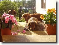 BAR� A JEJ� D�TI