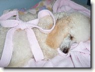 nejhez�� d�re�ek