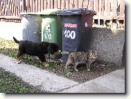 Audinaka ob�vuje sv�t