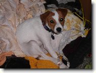 P�id�te m� do pra�ky?