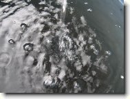 kdy� se obloha zlob�...