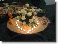 22 n�dhern�ch b�l�ch r��� pro Evi�ku . . .