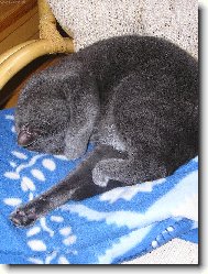 odpo��v�m, neru�it! :-) I