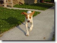 L�taj�c� �estm�r.....