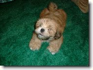 A� V�s chyt�m tak v�s sn�m!