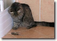 To je k j�dl,nebo na hran�?