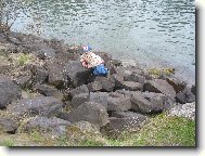 Chorvatsko - alias - �esko