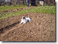 J� ten z�hon dod�l�m.