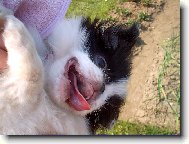 Z�hon nedod�l�m,chytili m�.