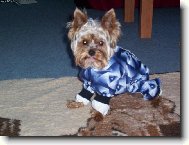 To m� za to,�e m� fot�!!!!