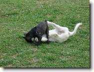 J� ti d�m,troufat si na men��ho!