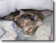 Neru�it !! My tady haj�..