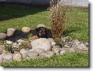 Tady mne nikdo neuvid�...