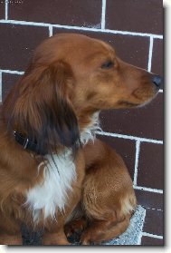 Pros�m, nefo� mne !!