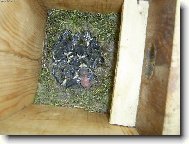 s�korky na balkon�