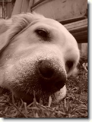 A tak to m�me ka�d� den ...