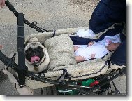 ..uj�d�me p�ed bou�kou !