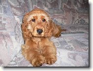 TO JE MOJE ZLAT��KO