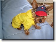 Kdy� jdu na proch�zku