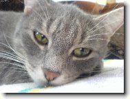 Betka p�i odpo�inku