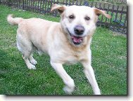 Rozevl�t� Sany :-)