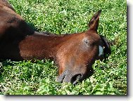 Nebudit, pros�m :-)