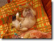 Chrup�n��ko...