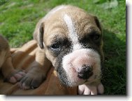 na�e �t���tko