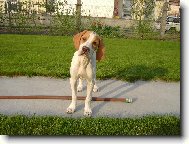 Max�k vym��l�