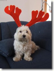 Nahradn� sob�������k!!!!;o)