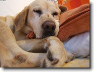 Pohoda, kl�dek a ........