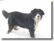 m�j prvn� sn�h....