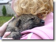 Nejv�t�� trha� na sv�t�