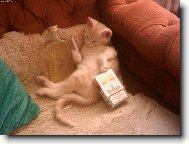 Kdy� jsem byl men��,nem�l jsem je�t� rozum...:-))