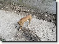 o sa na m�a bud� mojitelia poriadne hneva� �e som rozh�dzala zem!Ha,m�a to mrz�...