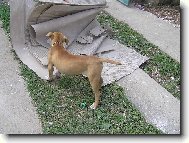 u�to nepotrebujete?Dobre,roztrh�m to.