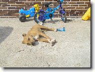 len tak si tu le��m