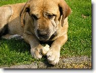 rohl��ky m�m nejrad�i