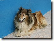 ...a te� si mn� vyfo�te...