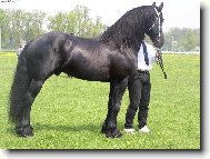 Fr�zsk� krasavec