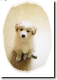 Ne��astn� Andy