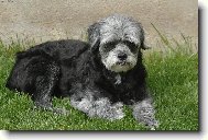 Odpo�inek v tr�v�