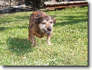 Vysm�t� �ul��ek