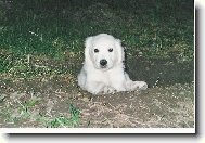 to ale dalo pr�ce, aby jeden n�co na�el . . .