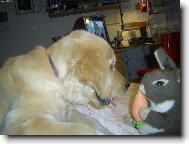 Korynka s ply��kem