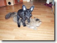 ... sem ��kal �e nem� �anci