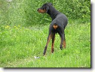 Hl�d�m...a to mi je teprve 7m�s...vrhafrr