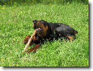 Moje obl�ben� �innost na proch�zce